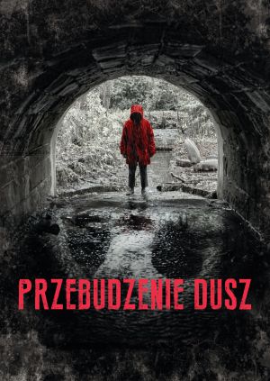 Przebudzenie dusz — plakat