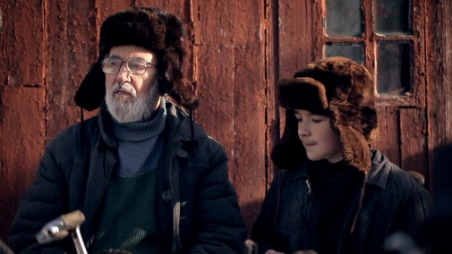 Грибы
