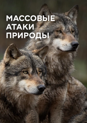 Массовые атаки природы