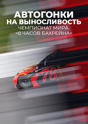 Автогонки на выносливость. Чемпионат мира «8 часов Бахрейна»