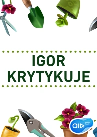 Igor krytykuje