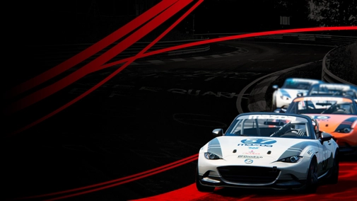 7DRIVE. RingSeries. Nordschleife