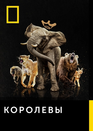 Королевы