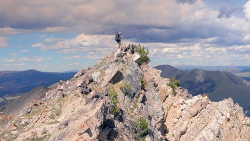 Life on a Knife Edge