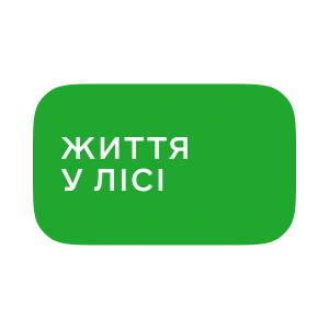 Життя у лісі