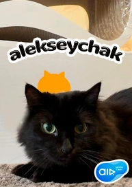 alekseychak
