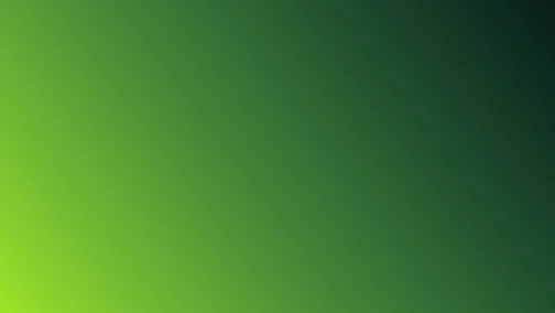 Полесье — Олимпия