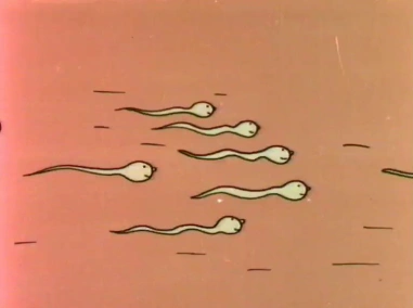 Как малыш приходит в этот мир