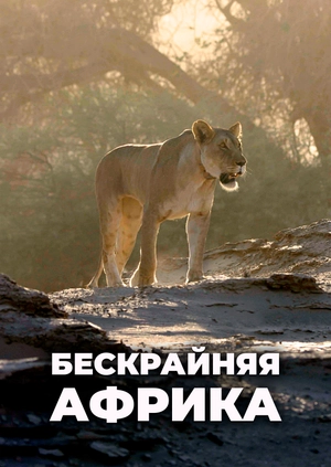 Бескрайняя Африка