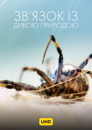 Зв'язок із дикою природою UHD