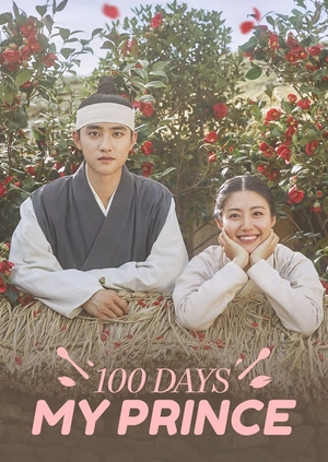 100 Days My Prince