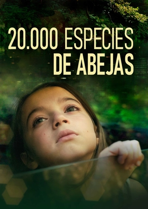 20,000 Species of Bees
