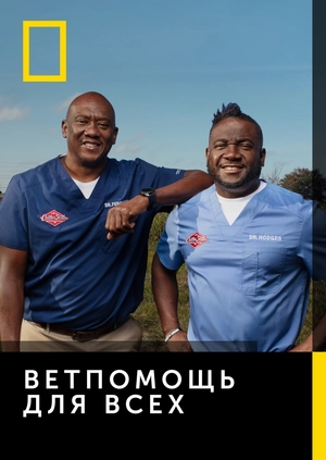 Ветпомощь для всех