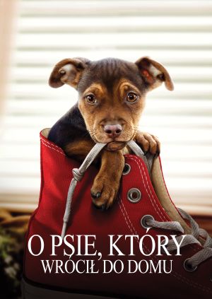 O psie, który wrócił do domu — plakat