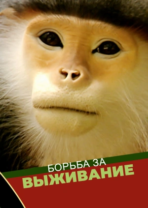 Борьба за Выживание