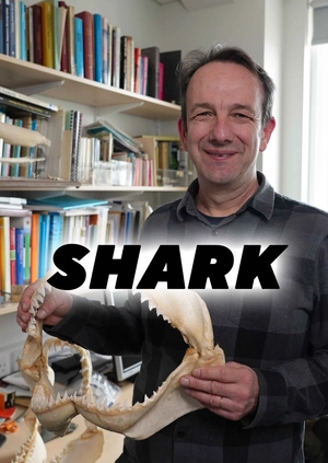 Shark