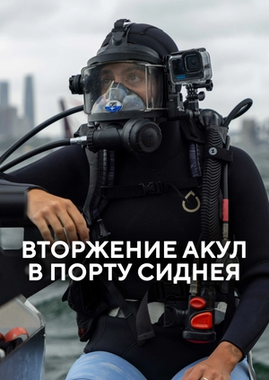 Вторжение акул в порту Сиднея