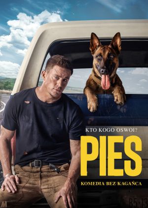 Pies — plakat